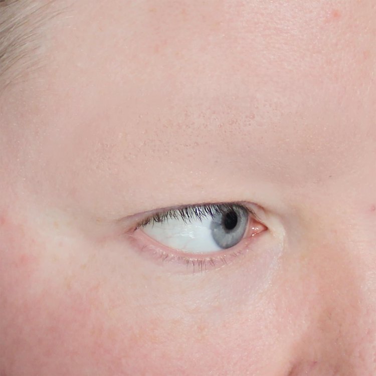 JessFX Moulds - Eyebrow Blockers